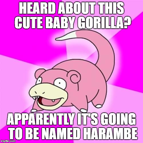 Slowpoke Meme | HEARD ABOUT THIS CUTE BABY GORILLA? APPARENTLY IT'S GOING TO BE NAMED HARAMBE | image tagged in memes,slowpoke | made w/ Imgflip meme maker