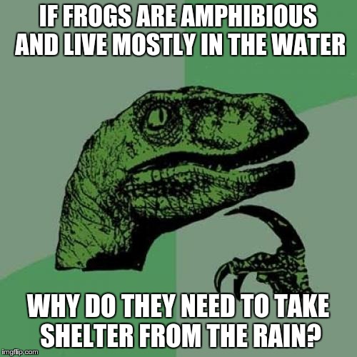 Philosoraptor Meme | IF FROGS ARE AMPHIBIOUS AND LIVE MOSTLY IN THE WATER WHY DO THEY NEED TO TAKE SHELTER FROM THE RAIN? | image tagged in memes,philosoraptor | made w/ Imgflip meme maker