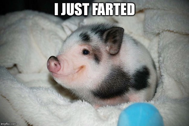 I JUST FARTED | image tagged in fart | made w/ Imgflip meme maker
