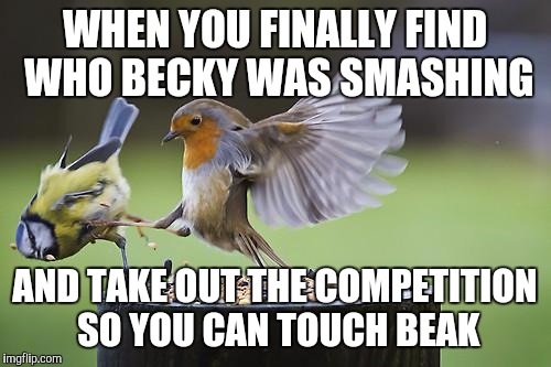 Getting Becky back | WHEN YOU FINALLY FIND WHO BECKY WAS SMASHING; AND TAKE OUT THE COMPETITION SO YOU CAN TOUCH BEAK | image tagged in bird sparta | made w/ Imgflip meme maker