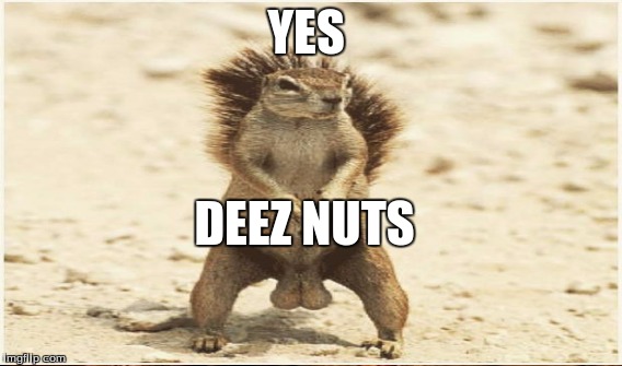 YES DEEZ NUTS | made w/ Imgflip meme maker