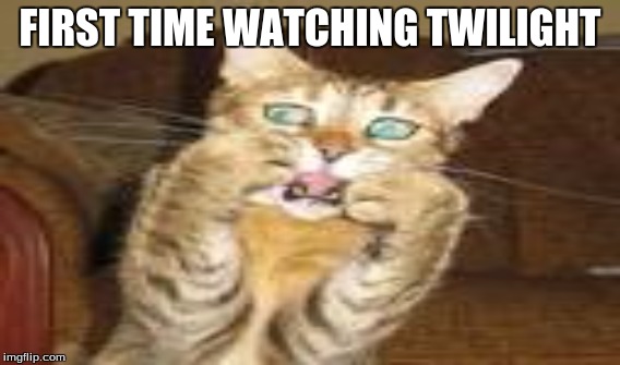 Funny cat | FIRST TIME WATCHING TWILIGHT | image tagged in cat | made w/ Imgflip meme maker