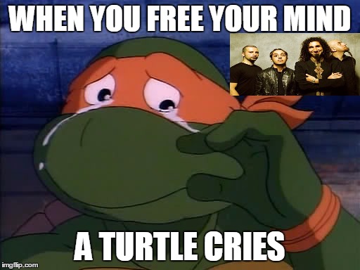 Turtle Cries | WHEN YOU FREE YOUR MIND; A TURTLE CRIES | image tagged in system of a down,tmnt,aerials,misheard lyrics,crying turtles | made w/ Imgflip meme maker