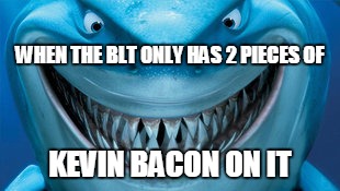 Brice | WHEN THE BLT ONLY HAS 2 PIECES OF KEVIN BACON ON IT | image tagged in brice | made w/ Imgflip meme maker