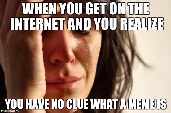 Really man? | WHEN YOU GET ON THE INTERNET AND YOU REALIZE; YOU HAVE NO CLUE WHAT A MEME IS | image tagged in memes,first world problems | made w/ Imgflip meme maker