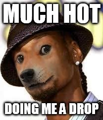 snoop doge.jipgpg | MUCH HOT; DOING ME A DROP | image tagged in snoop dogejipgpg | made w/ Imgflip meme maker