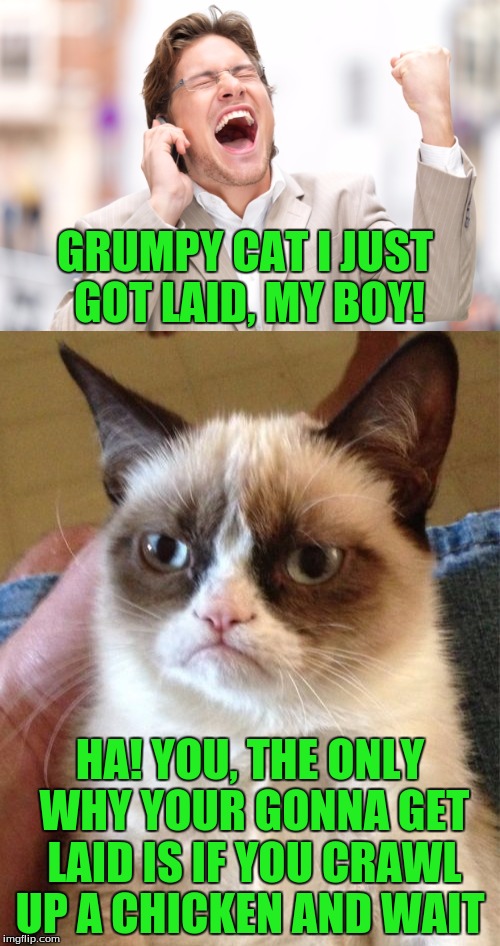 Come On Grumpy Cat Don't Be So Harsh | GRUMPY CAT I JUST GOT LAID, MY BOY! HA! YOU, THE ONLY WHY YOUR GONNA GET LAID IS IF YOU CRAWL UP A CHICKEN AND WAIT | image tagged in memes,funny,grumpy cat | made w/ Imgflip meme maker