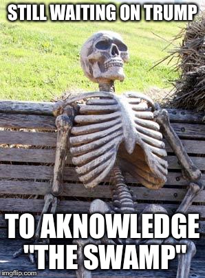 Waiting Skeleton | STILL WAITING ON TRUMP; TO AKNOWLEDGE "THE SWAMP" | image tagged in memes,waiting skeleton | made w/ Imgflip meme maker