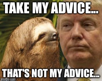 Political advice sloth | TAKE MY ADVICE... THAT'S NOT MY ADVICE... | image tagged in political advice sloth | made w/ Imgflip meme maker