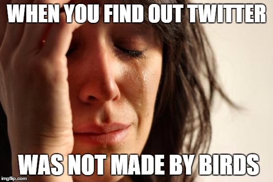 First World Problems Meme | WHEN YOU FIND OUT TWITTER; WAS NOT MADE BY BIRDS | image tagged in memes,first world problems | made w/ Imgflip meme maker