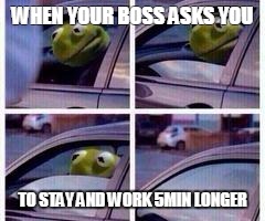 Kermit rolls up window | WHEN YOUR BOSS ASKS YOU; TO STAY AND WORK 5MIN LONGER | image tagged in kermit rolls up window | made w/ Imgflip meme maker