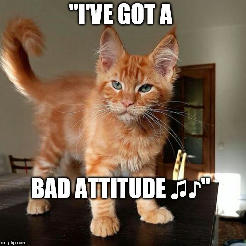 Attitude | "I'VE GOT A; BAD ATTITUDE ♫♪" | image tagged in cute cat | made w/ Imgflip meme maker