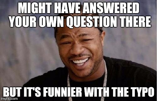 Yo Dawg Heard You Meme | MIGHT HAVE ANSWERED YOUR OWN QUESTION THERE BUT IT'S FUNNIER WITH THE TYPO | image tagged in memes,yo dawg heard you | made w/ Imgflip meme maker