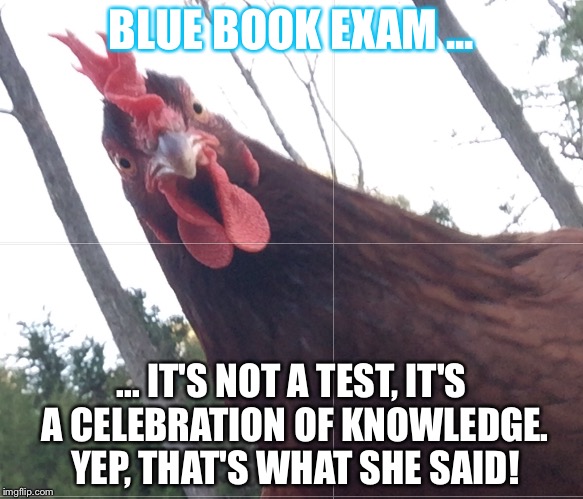 BLUE BOOK EXAM ... ... IT'S NOT A TEST, IT'S A CELEBRATION OF KNOWLEDGE. YEP, THAT'S WHAT SHE SAID! | image tagged in chick | made w/ Imgflip meme maker