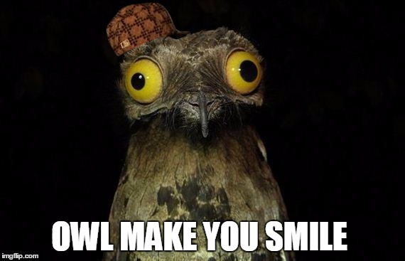 Weird Stuff I Do Potoo Meme | OWL MAKE YOU SMILE | image tagged in memes,weird stuff i do potoo,scumbag | made w/ Imgflip meme maker