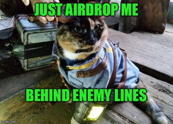 Fallout RayCat | JUST AIRDROP ME BEHIND ENEMY LINES | image tagged in fallout raycat | made w/ Imgflip meme maker