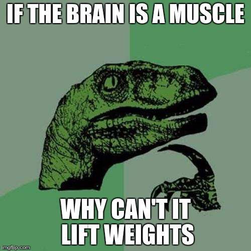 Philosoraptor | IF THE BRAIN IS A MUSCLE; WHY CAN'T IT LIFT WEIGHTS | image tagged in memes,philosoraptor | made w/ Imgflip meme maker