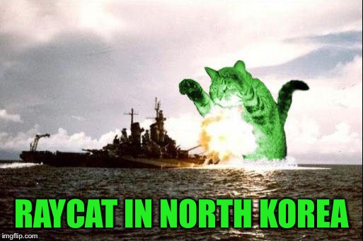 RayCatzilla | RAYCAT IN NORTH KOREA | image tagged in raycatzilla,memes | made w/ Imgflip meme maker