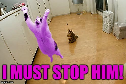 RayCat save the world | I MUST STOP HIM! | image tagged in raycat save the world | made w/ Imgflip meme maker