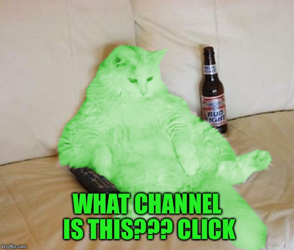 RayCat Chillin' | WHAT CHANNEL IS THIS??? CLICK | image tagged in raycat chillin' | made w/ Imgflip meme maker