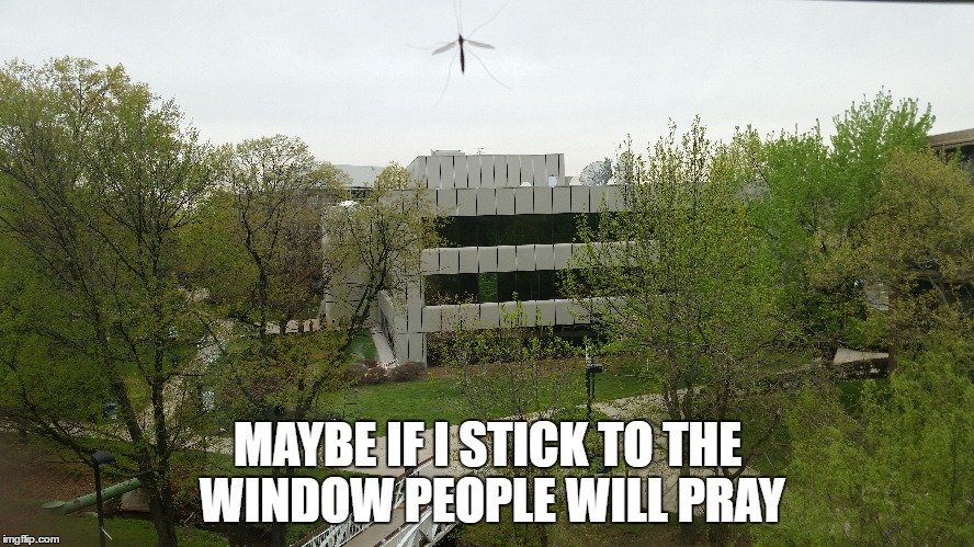 MAYBE IF I STICK TO THE WINDOW PEOPLE WILL PRAY | made w/ Imgflip meme maker