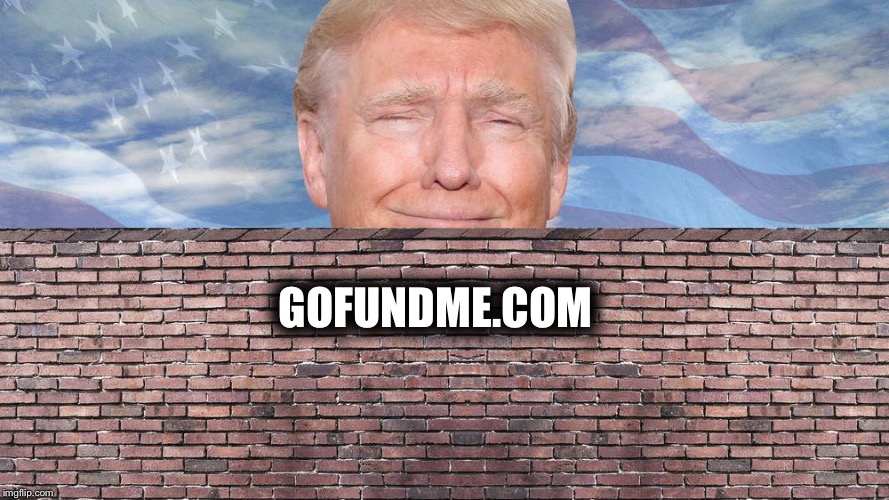donald and the wall | GOFUNDME.COM | image tagged in donald and the wall | made w/ Imgflip meme maker
