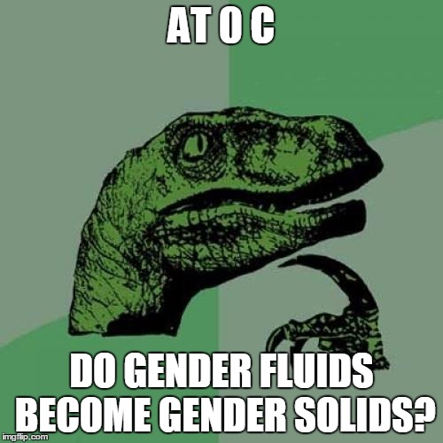 Philosoraptor Meme | AT 0 C; DO GENDER FLUIDS BECOME GENDER SOLIDS? | image tagged in memes,philosoraptor | made w/ Imgflip meme maker