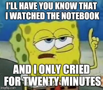 I'll Have You Know Spongebob | I'LL HAVE YOU KNOW THAT I WATCHED THE NOTEBOOK; AND I ONLY CRIED FOR TWENTY MINUTES | image tagged in memes,ill have you know spongebob | made w/ Imgflip meme maker