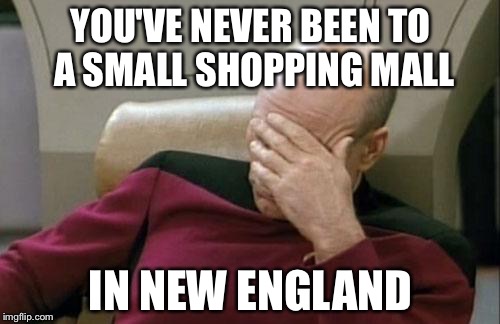 Captain Picard Facepalm Meme | YOU'VE NEVER BEEN TO A SMALL SHOPPING MALL IN NEW ENGLAND | image tagged in memes,captain picard facepalm | made w/ Imgflip meme maker