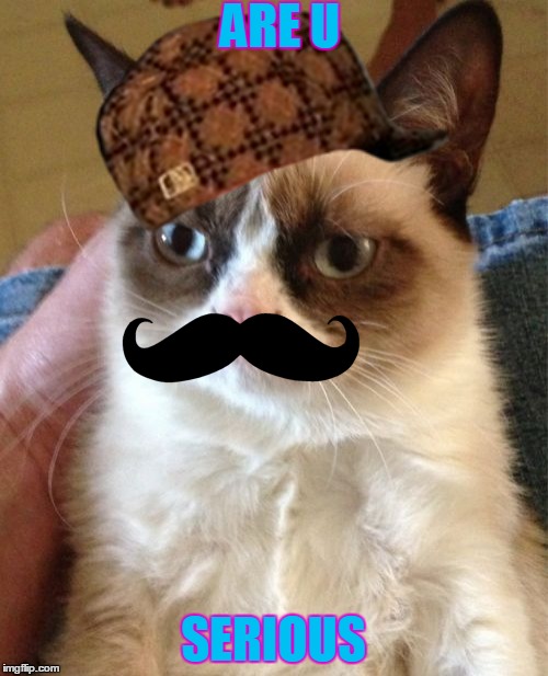 Grumpy Cat Meme | ARE U; SERIOUS | image tagged in memes,grumpy cat,scumbag | made w/ Imgflip meme maker
