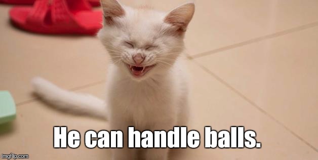 Cat Laughing | He can handle balls. | image tagged in cat laughing | made w/ Imgflip meme maker