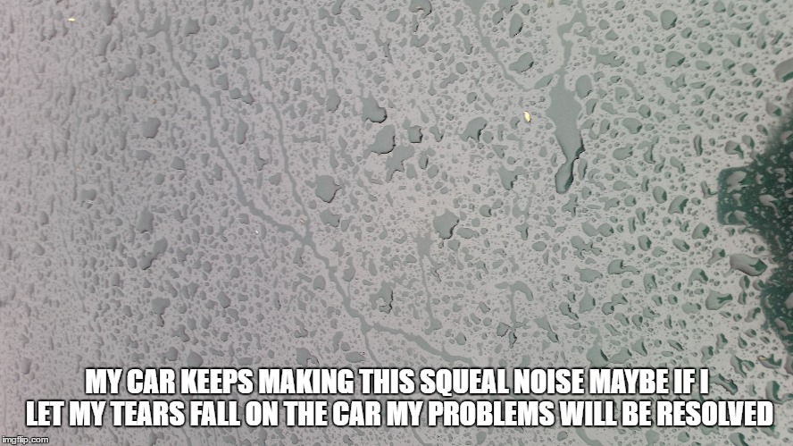  MY CAR KEEPS MAKING THIS SQUEAL NOISE MAYBE IF I LET MY TEARS FALL ON THE CAR MY PROBLEMS WILL BE RESOLVED | made w/ Imgflip meme maker