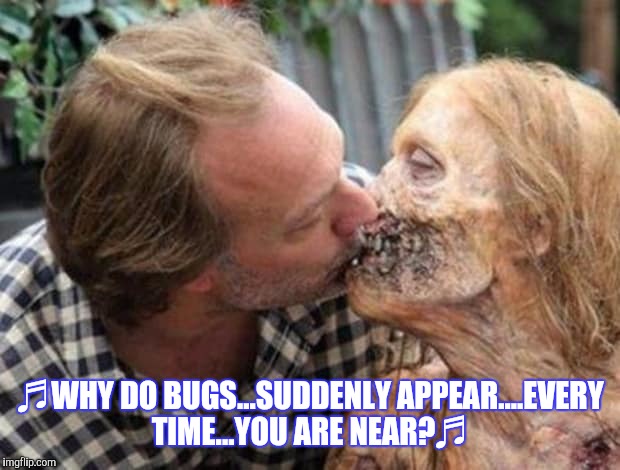 Love's in the air | ♬WHY DO BUGS...SUDDENLY APPEAR....EVERY TIME...YOU ARE NEAR?♬ | image tagged in zombie week,funny | made w/ Imgflip meme maker