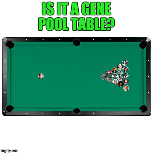 IS IT A GENE POOL TABLE? | made w/ Imgflip meme maker