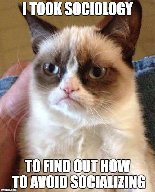 Grumpy Cat | I TOOK SOCIOLOGY; TO FIND OUT HOW TO AVOID SOCIALIZING | image tagged in memes,grumpy cat | made w/ Imgflip meme maker