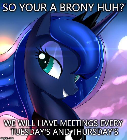 SO YOUR A BRONY HUH? WE WILL HAVE MEETINGS EVERY TUESDAY'S AND THURSDAY'S | made w/ Imgflip meme maker