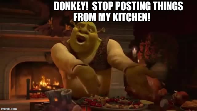 Donkey! No More Posts! | DONKEY!  STOP POSTING THINGS FROM MY KITCHEN! | image tagged in donkey shrek | made w/ Imgflip meme maker