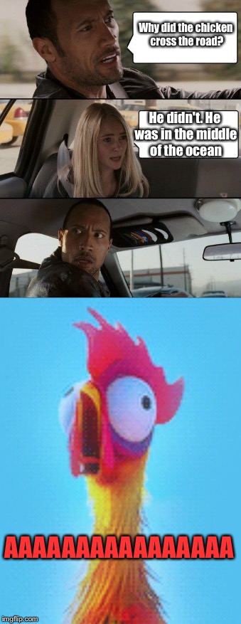 Stupid chicken |  Why did the chicken cross the road? He didn't. He was in the middle of the ocean; AAAAAAAAAAAAAAAA | image tagged in memes,the rock driving,moana,heihei,animals,chickens | made w/ Imgflip meme maker
