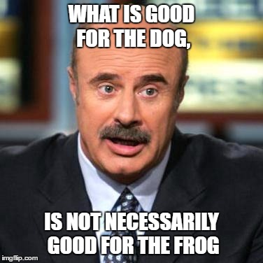 Dr. Phil | WHAT IS GOOD FOR THE DOG, IS NOT NECESSARILY GOOD FOR THE FROG | image tagged in dr phil | made w/ Imgflip meme maker