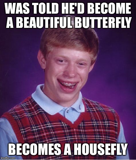 Bad Luck Brian Meme | WAS TOLD HE'D BECOME A BEAUTIFUL BUTTERFLY BECOMES A HOUSEFLY | image tagged in memes,bad luck brian | made w/ Imgflip meme maker