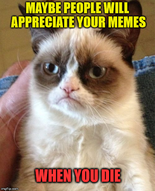 Grumpy Cat Meme | MAYBE PEOPLE WILL APPRECIATE YOUR MEMES WHEN YOU DIE | image tagged in memes,grumpy cat | made w/ Imgflip meme maker