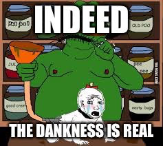 Pepe | INDEED THE DANKNESS IS REAL | image tagged in pepe | made w/ Imgflip meme maker