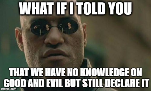 Matrix Morpheus Meme | WHAT IF I TOLD YOU; THAT WE HAVE NO KNOWLEDGE ON GOOD AND EVIL BUT STILL DECLARE IT | image tagged in memes,matrix morpheus | made w/ Imgflip meme maker