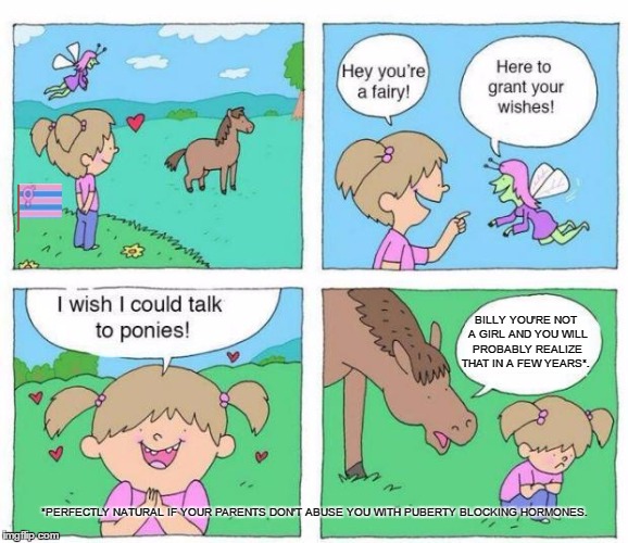 Talk to ponies: "Billy you're not a girl."  | BILLY YOU'RE NOT A GIRL AND YOU WILL PROBABLY REALIZE THAT IN A FEW YEARS*. *PERFECTLY NATURAL IF YOUR PARENTS DON'T ABUSE YOU WITH PUBERTY BLOCKING HORMONES. | image tagged in talk to ponies,trans pride,transgender,maybe don't view nsfw,nsfw | made w/ Imgflip meme maker