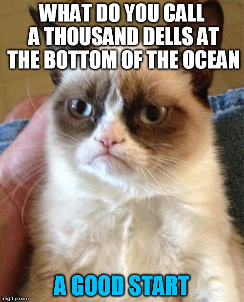 Grumpy Cat Meme | WHAT DO YOU CALL A THOUSAND DELLS AT THE BOTTOM OF THE OCEAN A GOOD START | image tagged in memes,grumpy cat | made w/ Imgflip meme maker