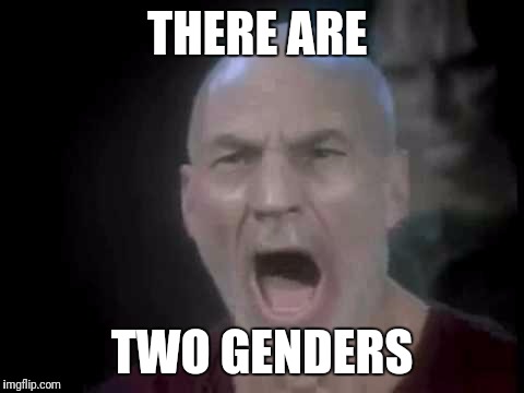 Picard Four Lights | THERE ARE; TWO GENDERS | image tagged in picard four lights | made w/ Imgflip meme maker