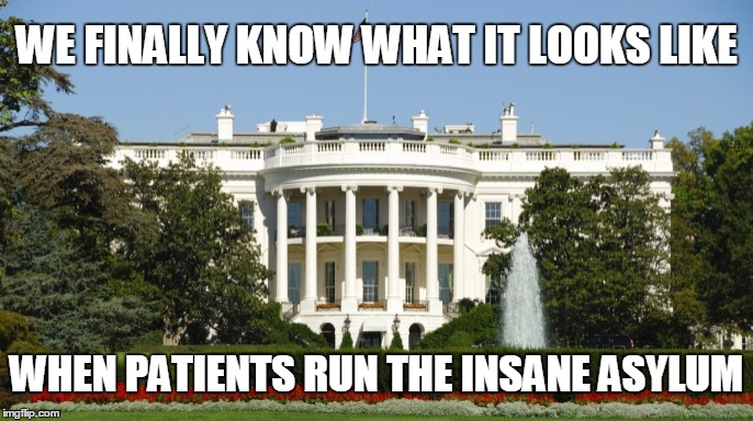 WhiteHouseFountain1 | WE FINALLY KNOW WHAT IT LOOKS LIKE; WHEN PATIENTS RUN THE INSANE ASYLUM | image tagged in whitehousefountain1 | made w/ Imgflip meme maker