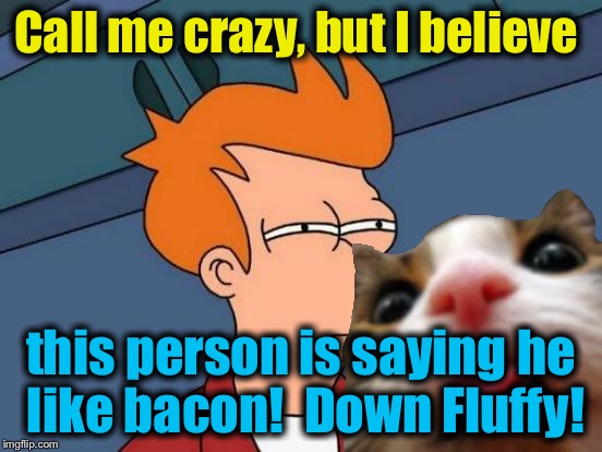 Futurama Fry Meme | Call me crazy, but I believe this person is saying he like bacon!  Down Fluffy! | image tagged in memes,futurama fry | made w/ Imgflip meme maker