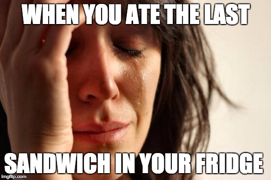 First World Problems | WHEN YOU ATE THE LAST; SANDWICH IN YOUR FRIDGE | image tagged in memes,first world problems | made w/ Imgflip meme maker