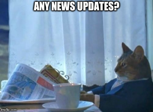 I Should Buy A Boat Cat Meme | ANY NEWS UPDATES? | image tagged in memes,i should buy a boat cat | made w/ Imgflip meme maker